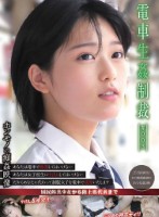 電車生姦制裁 #003